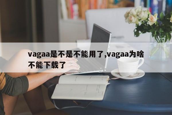 vagaa是不是不能用了,vagaa为啥不能下载了